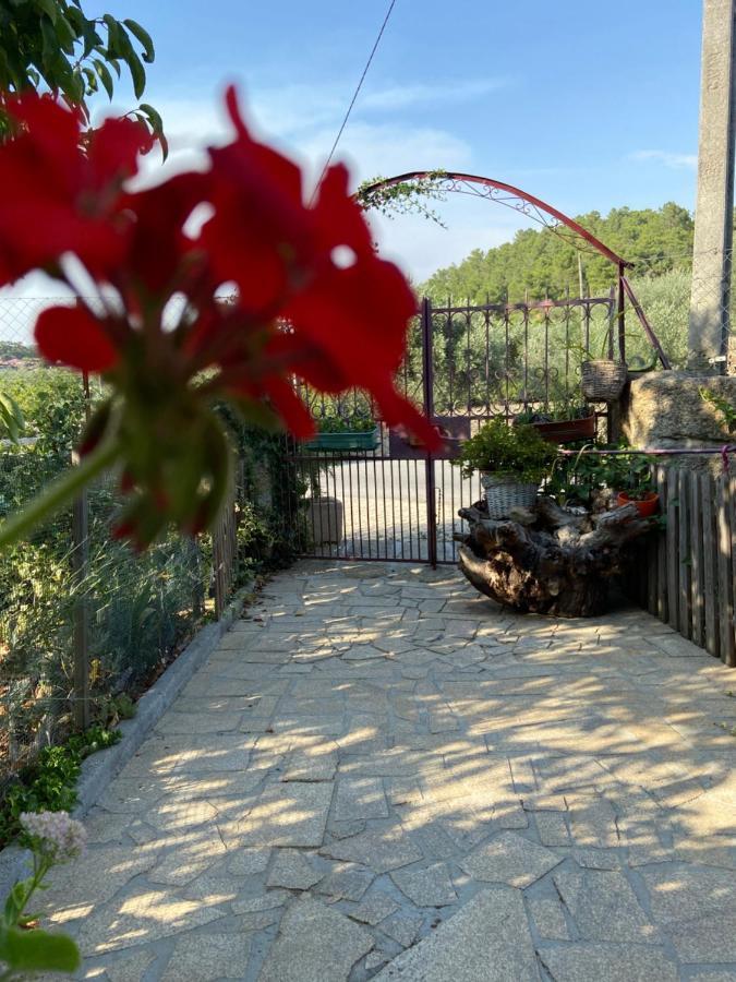 Casa Da Aldeia Da Avo Bed and Breakfast Valpaços Eksteriør billede