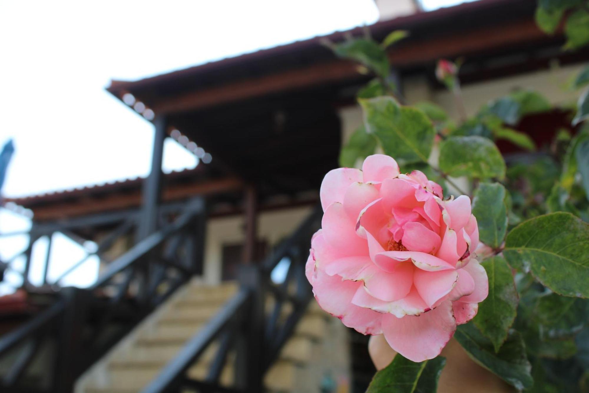 Casa Da Aldeia Da Avo Bed and Breakfast Valpaços Eksteriør billede